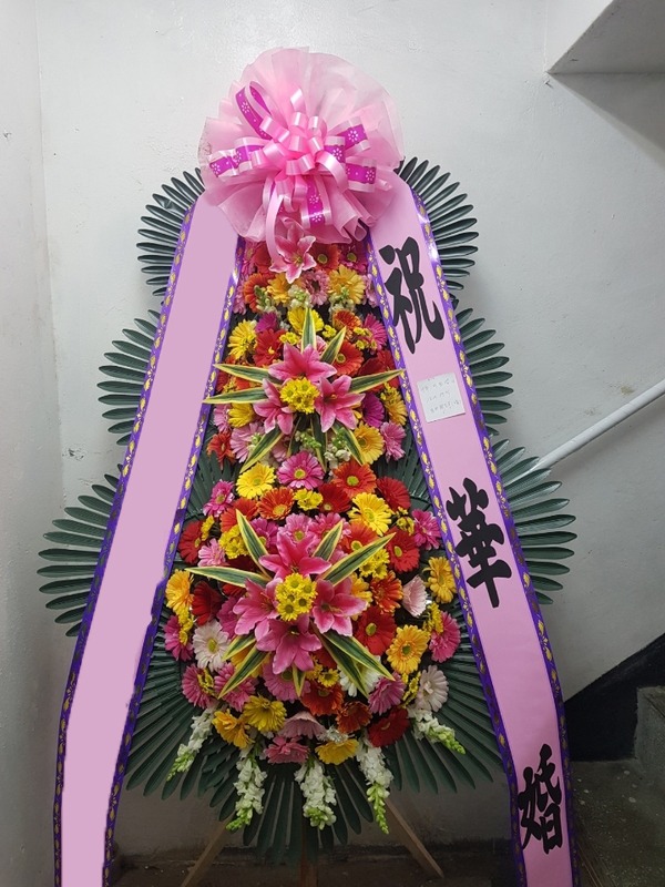 ���� 3��