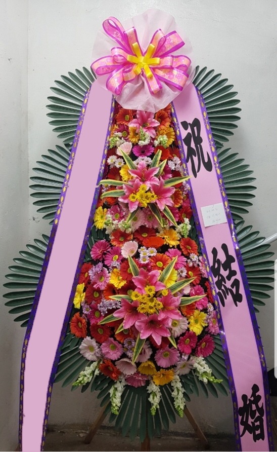 ���� 3��