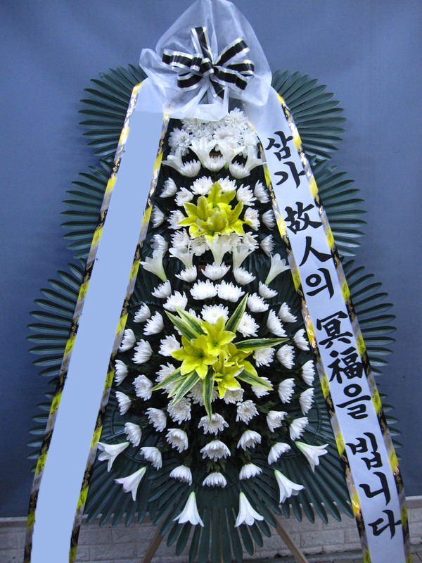 ���� 3��