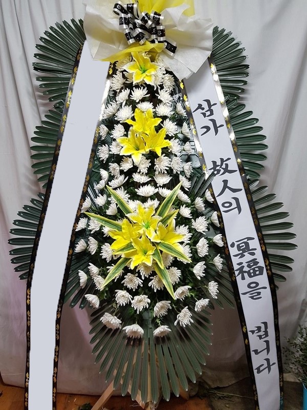 ���� 3��