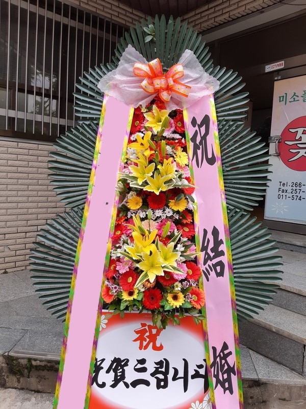 ���� 3��