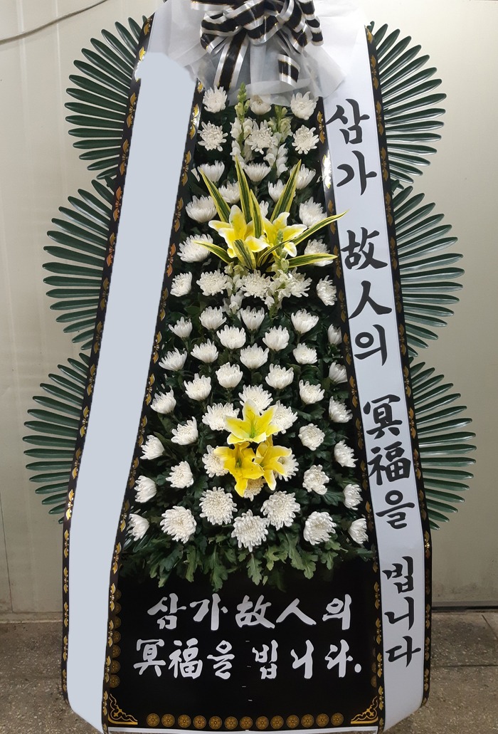 ���� 3��