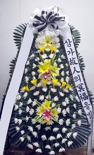 ���� 3��