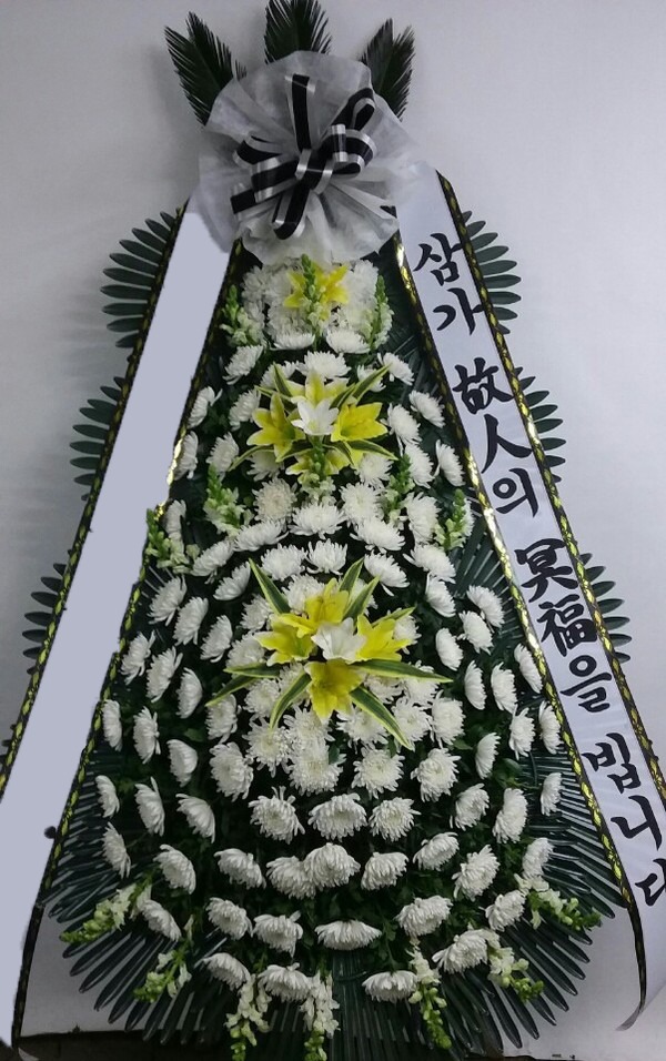 ���� 3��