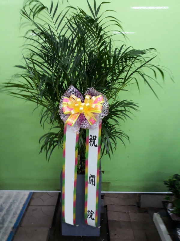 �Ʒ�ī����