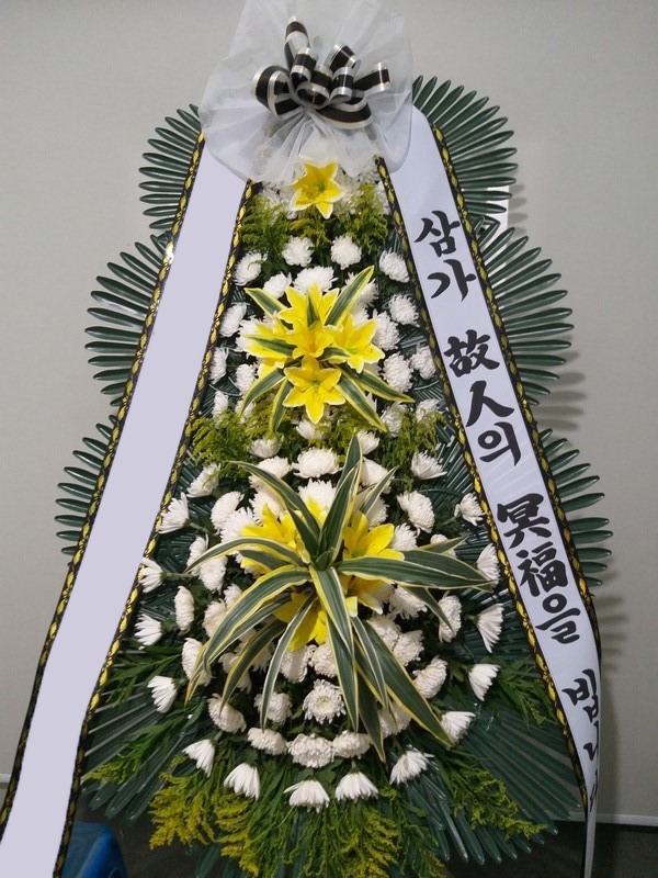 ���� 3��