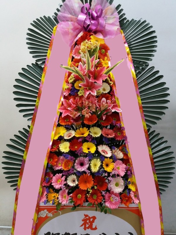 ���� 3��