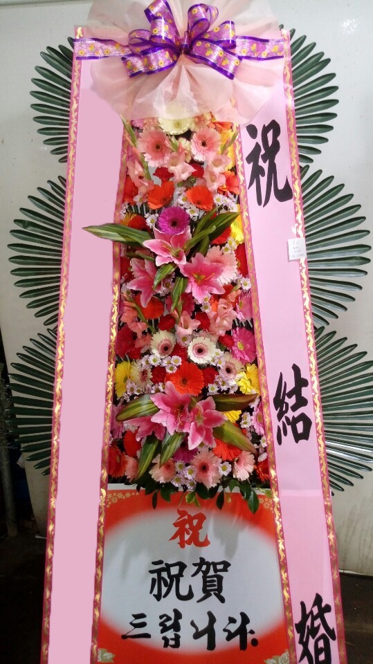 ���� 3��