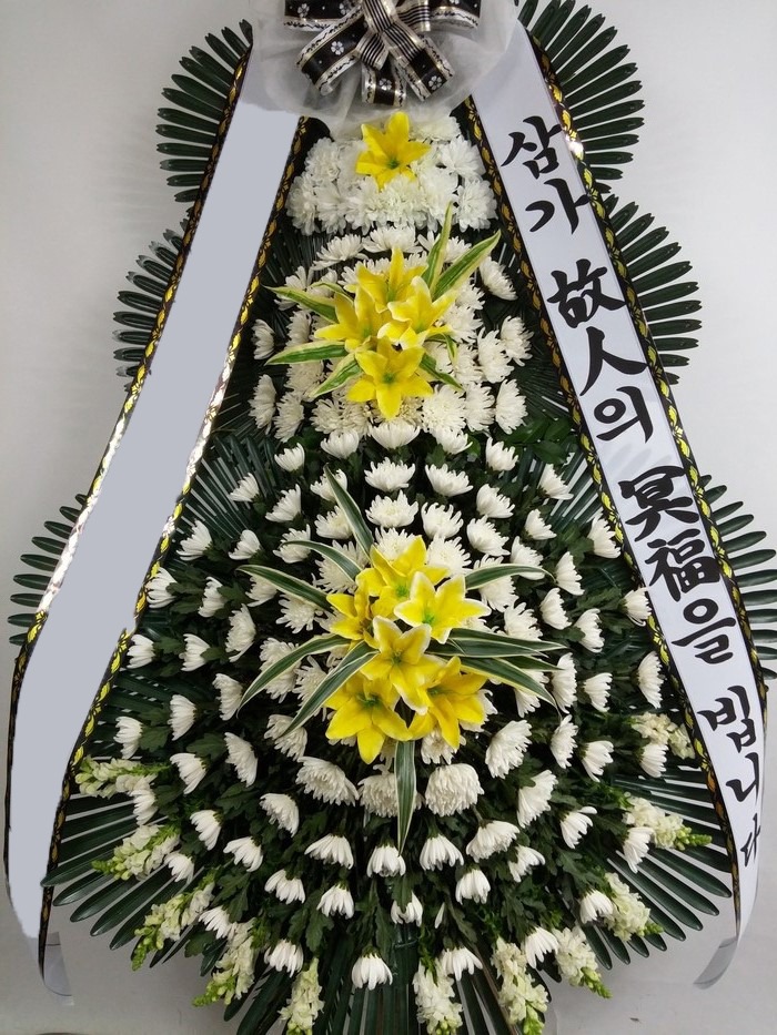 ���� 3��