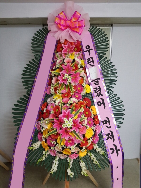 ���� 3��