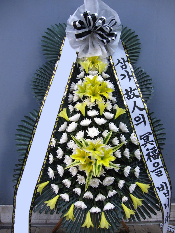 ���� 3��