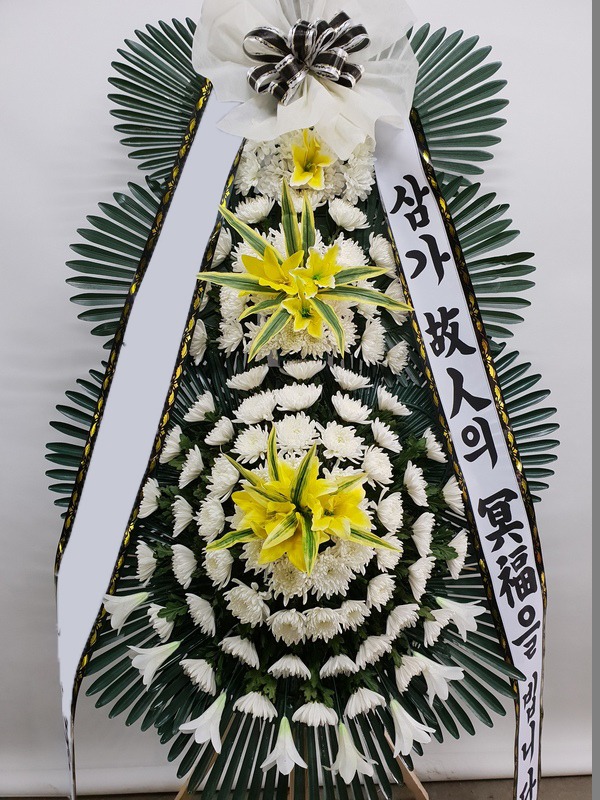 ���� 3��