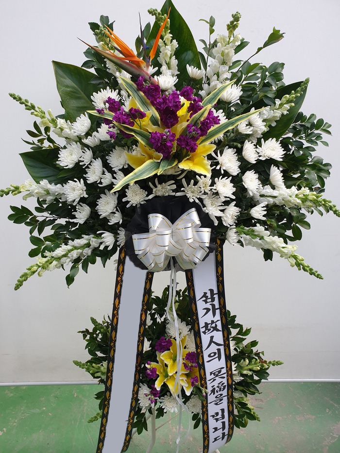 ���� ������