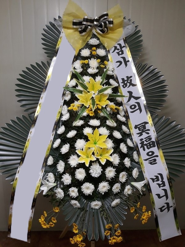 ���� 3��