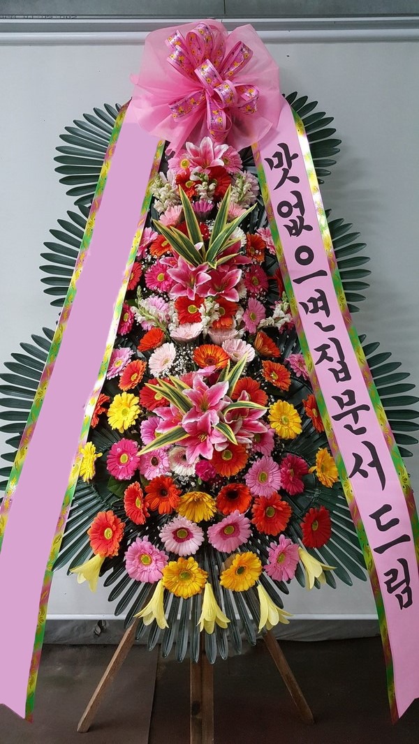 ���� 3��