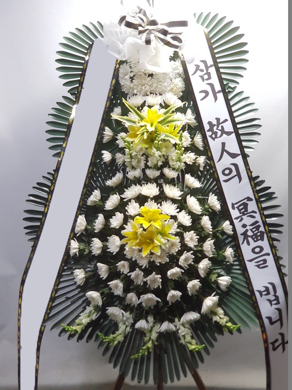 ���� 3��