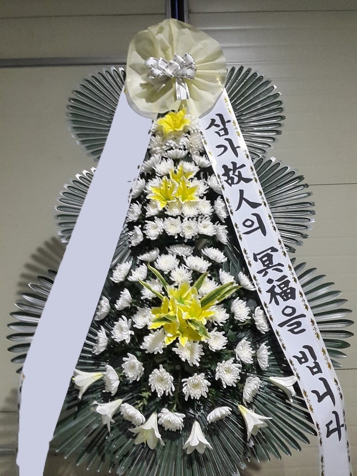 ���� 3��