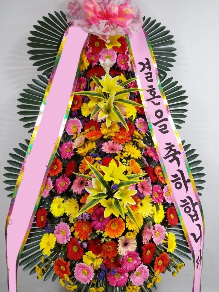 ���� 3��