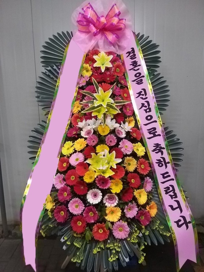 ���� 3��