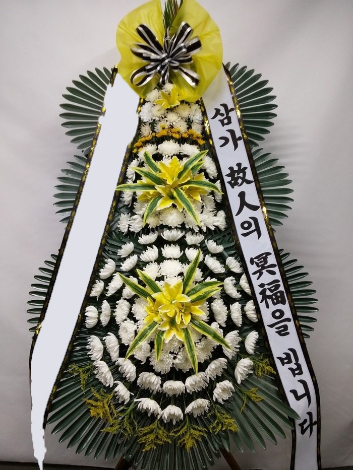 ���� 3��