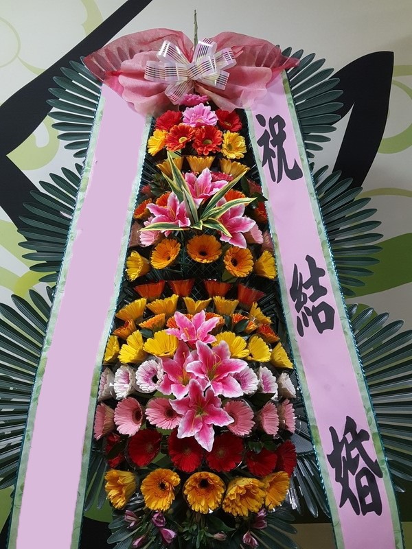 ���� 3��