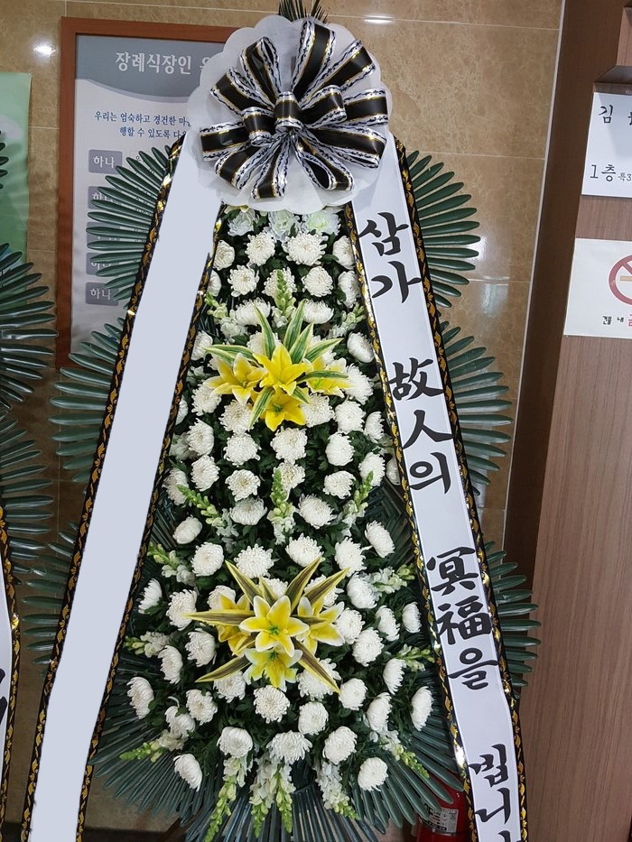 ���� 3��