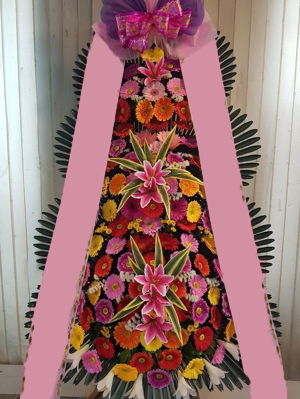 ���� 3��