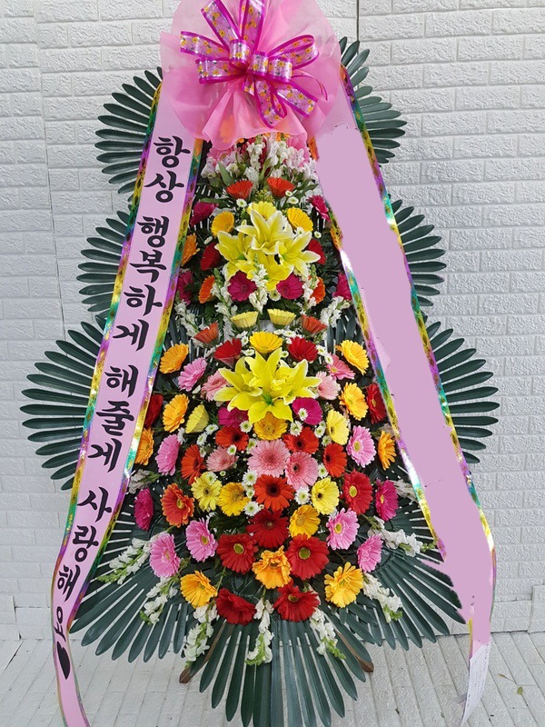 ���� 3��