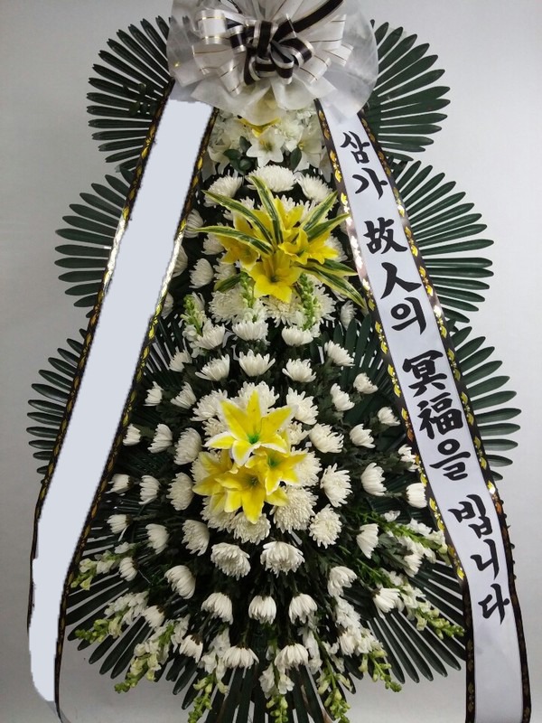 ���� 3��