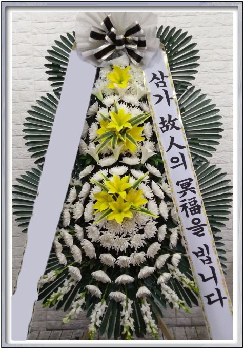 ���� 3��