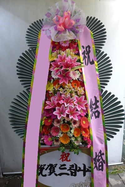 ���� 3��