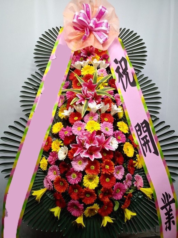 ���� 3��