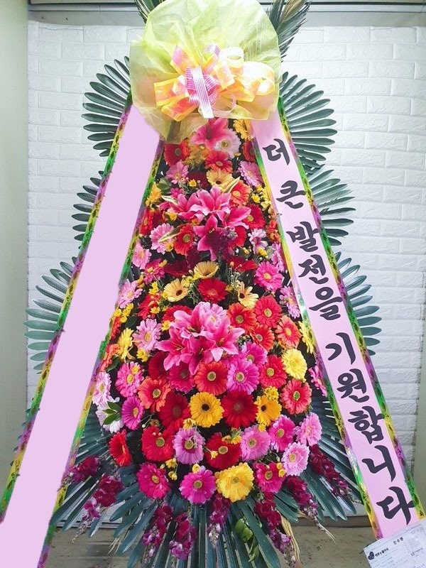 ���� 3��